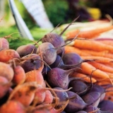 Zatim posadite šargarepu